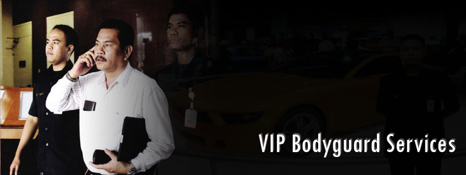 vip_bs
